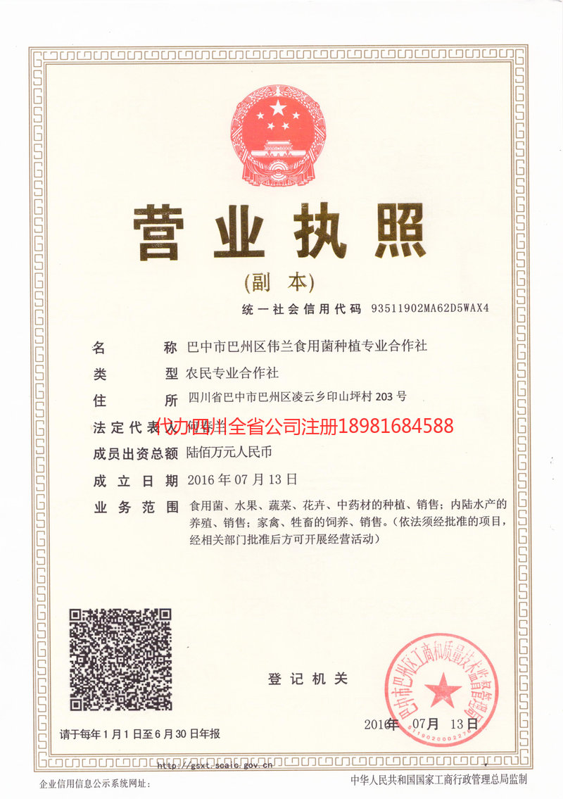 亳州亳州伟兰食用菌种植专业合作社